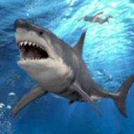 大白鲨真实模拟破解版 v1.0