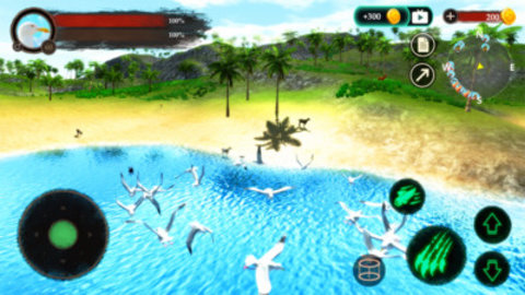 海鸥模拟器手游下载-海鸥模拟器2022版下载 v1.0.1