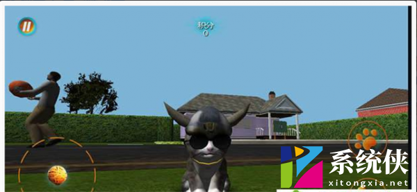 真实小猫3D模拟
