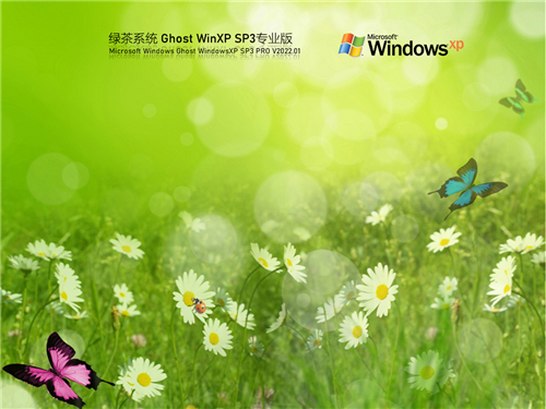 绿茶系统 Ghost WinXP SP3 极速装机版 v2022.01