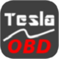 TeslaOBD软件下载-Tesla