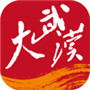 大武汉app安卓版 v5.3.2